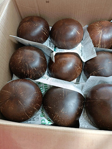 Bol en coquille de noix de coco poli pour cuisine et décoration - Product Image 6