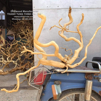 Produit chaud 2025 bois flotté naturel pour la décoration d'accessoires de réservoir de poissons avec le meilleur prix