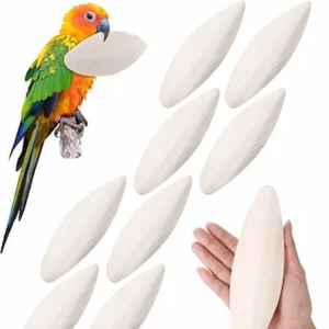 CUTTLEBONE NATURAL PREMIUM PARA AVES Y TORTUGAS DE VIETNAM - Product Image 5