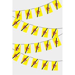 Drapeau rectangulaire personnalisé du Brunei, guirlande de fanions imprimés numériquement en polyester et soie pour l'assurance automobile et l'éducation - Product Image 1