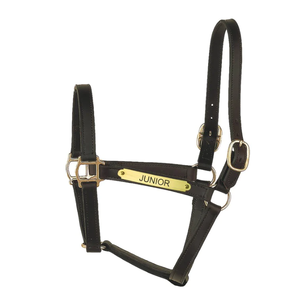 Halter en cuir style piste avec plaque intelligente - Product Image 1