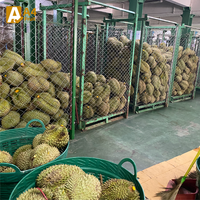 Thaise Monthong Durian, Graad A, 0,5 kg, zoet en rijk, perfect rijp voor een luxueus exotisch smaakavontuur, verpakt voor versheid.