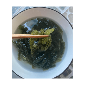 Raisins de mer déshydratés de meilleure qualité, algues vertes naturelles du fabricant vietnamien, algues délicieuses au caviar vert - Product Image 2
