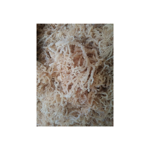 Algas marinas naturales seguras para su uso en cocina gourmet y condimentos para alimentos de alta gama, incluyendo Sopas, salsas y platos nutritivos. - Product Image 3