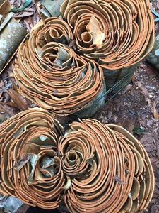 VENTA SUPERIOR DE CANELA/CASSIA hecha en Vietnam-ALTA CALIDAD CON BUEN PRECIO-PRECIO RAZONABLE DE VIETNAM - Product Image 2