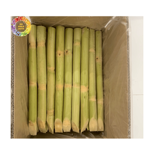 Caña de azúcar congelada para té de burbujas y jugo de caña de azúcar embotellado Caña de azúcar congelada IQF para hacer café y jugo - Product Image 5