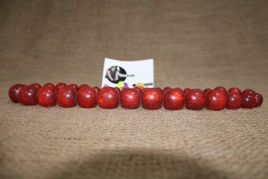 พรีเมี่ยมเรซิ่นลูกปัด Neckless จาก Tradnary - Product Image 3