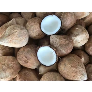 มะพร้าวอ่อนกึ่งแกลบขายจากเวียดนาม - Product Image 2
