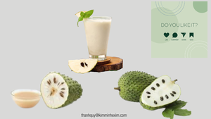 Puré Kim Minh Internacional de Guanábana Congelada sin Azúcar 100% Fresh 12 Brix 20kg Embalaje a Granel Importado de Vietnam - Product Image 3