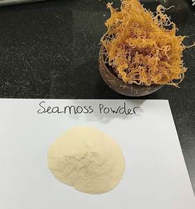 High Quality Seamoss Powder 100% From Natural <b>Seaweed</b> with Competitive Price - Product Image 3
