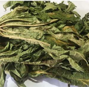 Feuilles de papaye séchées de qualité supérieure | 100% naturel | Exportation en gros de l'Inde - Product Image 5