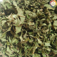 Feuilles de goyave séchées, matière durable, origine Vietnam, pour les ateliers de mélange de thé et les tâches d'aromatisation culinaire subtile