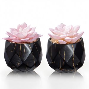 ZENIDA Duurzame Kunstmatige Vetplanten 2 Zwarte Keramische Potten Leuke Kunstplanten Kantoor Thuis Badkamer Decor Vrouwen Meisjes Verjaardag - Product Image 1