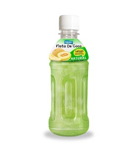 Nata de Coco en Botella de 320ml de Marca Privada - Sabor a Frutas 100% Pura NFC Batido de Alta Calidad - Product Image 2