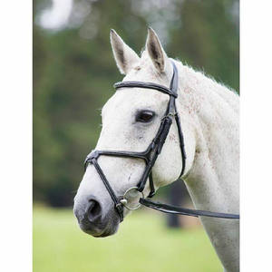 Brides Grackle Bridle Bridle Raised Cavesson Flash Noseband Premium Véritable Meilleure Qualité Cuir Noseband brow band rêne - Product Image 2