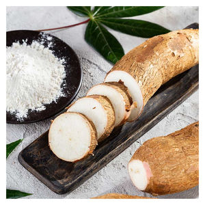 Precio de fábrica Polvo blanco Color Modificado Almidón de tapioca para ingredientes alimentarios Embalaje a granel de sabor natural Excelente para exportación - Product Image 6