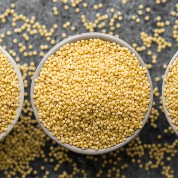 Натуральное высушенное Просо для продажи