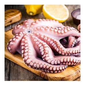 Pulpo Gigante Entero (Congelado) de la Mejor Calidad a Precio de Oferta - Product Image 1