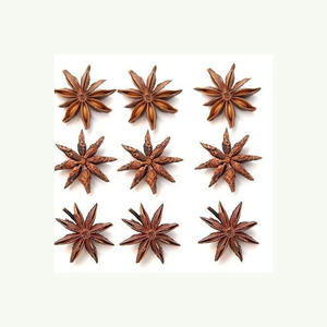 Vente en gros d'Anis étoilé séché Nouvelle récolte Assaisonnement d'épices séchées de haute qualité Anis étoilé d'automne et de printemps - Product Image 3