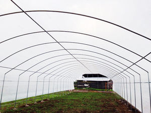 Kits de serres agricoles commerciales à simple travée et double couche en PE avec <span class=keywords><strong>tunnel</strong></span> en film <span class=keywords><strong>plastique</strong></span> <span class=keywords><strong>pour</strong></span> la culture de légumes et de fraises - Product Image 5