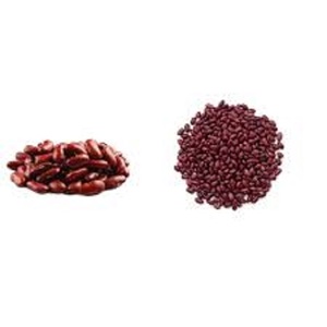 ถั่วแดงไตถั่วไตสีขาวถั่วดำ-ถั่วสดเกรดสูง - Product Image 5