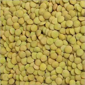 Lentilles vertes séchées entières pour la vente au détail, les supermarchés et la restauration - Product Image 4
