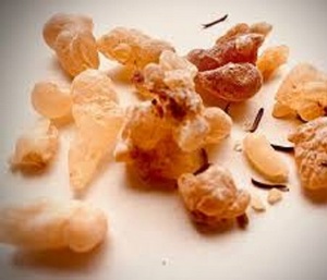 Suministro de fábrica Boswellia Serrata Extracto en polvo de resina de incienso cultivada en estado salvaje Extracto de hierbas de grado alimenticio en embalaje de tambor - Product Image 1