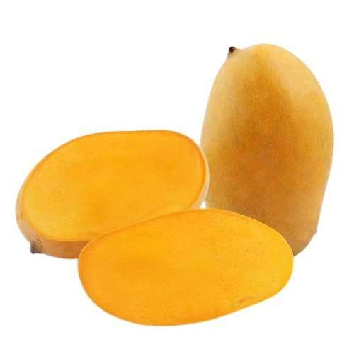 High Quality Fresh Sweet Mangoes for Smoothies Fruit Salads Supermarket Displays Exquisite Bulk Export