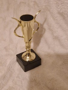 Premio Trofeo de Oro-Grabado personalizado-Inserto personalizado - Product Image 3