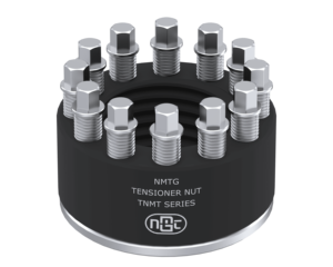 NMTG TNMT M30 X P Tuercas y pernos tensores Sujetadores OEM de acero de alta resistencia con par de 11-266Nm y garantía de 12 meses - Product Image 1
