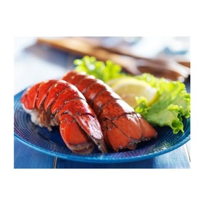 กุ้งล็อบสเตอร์สดแช่แข็งคุณภาพส่งออกสูงสุด แบบดิบ มีหางทั้งตัว บรรจุกล่อง กระบวนการแช่แข็งแบบ BQF ขนาด 25 ซม. - Product Image 6