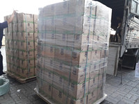 Top jus de noni d'exportation de fournisseur authentique à un prix compétitif