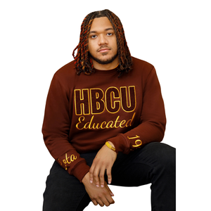 HBCU Iota Chenille sweat 100 coton polaire éduqué lettrage grec fraternité broderie élégant marron hommes vêtements décontractés - Product Image 1