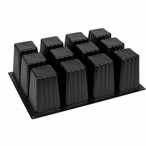 Plateau de semis pour plantes d'arboricultura, dégradable, 12 trous, en plastique, profond, pour pépinière - Product Image 6