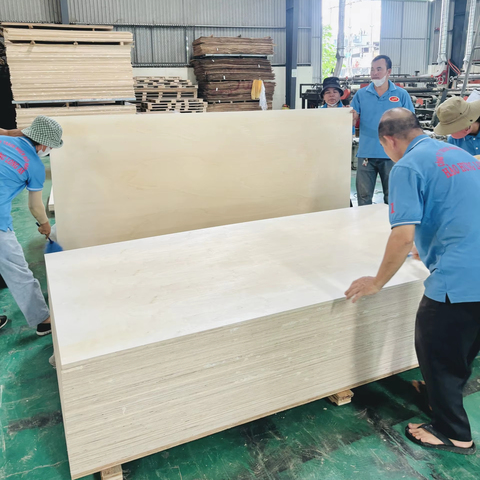 Vietnam Manufacturer's Heavy-Duty 12-15-18-21mm White Packing Poplar Plywood E0 Standard Commercial Plywood for Kitchen Use