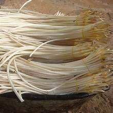 IMMUNE SUPPORTING CANNED LOTUS STEM WITH CLEAN INGREDIENTS VEGAN NATURAL AND PLANT BASED - Product Image 5