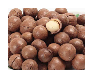 Noix de macadamia décortiquées de haute qualité du Vietnam - Noix de macadamia grillées pour grignoter - Product Image 3