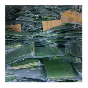Feuille de bananier fraîche de qualité supérieure congelée-100% feuilles de bananier naturelles avec norme d'exportation pour emballer les aliments et cuisiner - Product Image 1