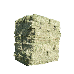 2024 New Animal Feed Import Export Wheat <b>Straw</b> Hay <b>Bales</b> Fodder for Cattle Grass From Pakistan - Product Image 2