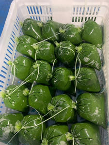 Hojas de yuca congeladas Premium directamente de Vietnam para garantía de calidad mayorista y de exportación - Product Image 3