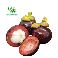 Vietnam Verse Mangosteen/Hoogwaardig Standaardfruit