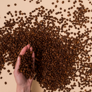 เมล็ดกาแฟอาราบิก้าคุณภาพพรีเมียม ขายส่ง 100% เมล็ดกาแฟคั่วกลาง เกรดเอ อายุการเก็บรักษา 24 เดือน - Product Image 1