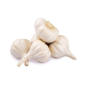 Ail frais à bas prix disponible pour les achats en gros et l'exportation - Product Image 1