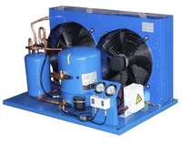 Compresseur à spirale de réfrigération Tecumseh 3hp 4hp, unité de condensation pour la réfrigération des chambres froides, 220V 380V