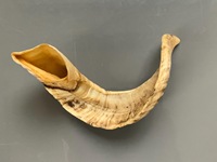 Vrais cornes de mouton naturelles polies pour la décoration et l'artisanat, de haute qualité