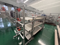 Système de cages à poules pondeuses direct usine, cages automatiques en batterie, équipement avicole pour projets mondiaux d'élevage de volailles