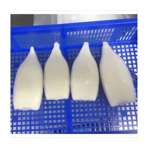 Bulk Packing Ship Frozen Squid Tube U8 Bqf Giant Seafood Illex Indian Ocean Squid Tube U8 U2 U3 U4 U5 U6 U7 U10