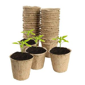 Pots en tourbe biodégradables Martom P8 pour semis, 8 cm, 24 pièces, 0,7 gallon, pour plantes de pépinière - Product Image 1