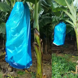 Banana Bunch <b>Shielding</b> PP Plastic for Bags-<b>Heat</b> Seal Protective Sleeves - Product Image 5