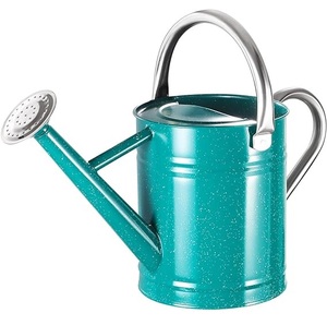 Arrosoir en métal de vente chaude pour les plantes d'extérieur et d'intérieur arrosoir de jardinage galvanisé avec poignées en acier inoxydable - Product Image 3